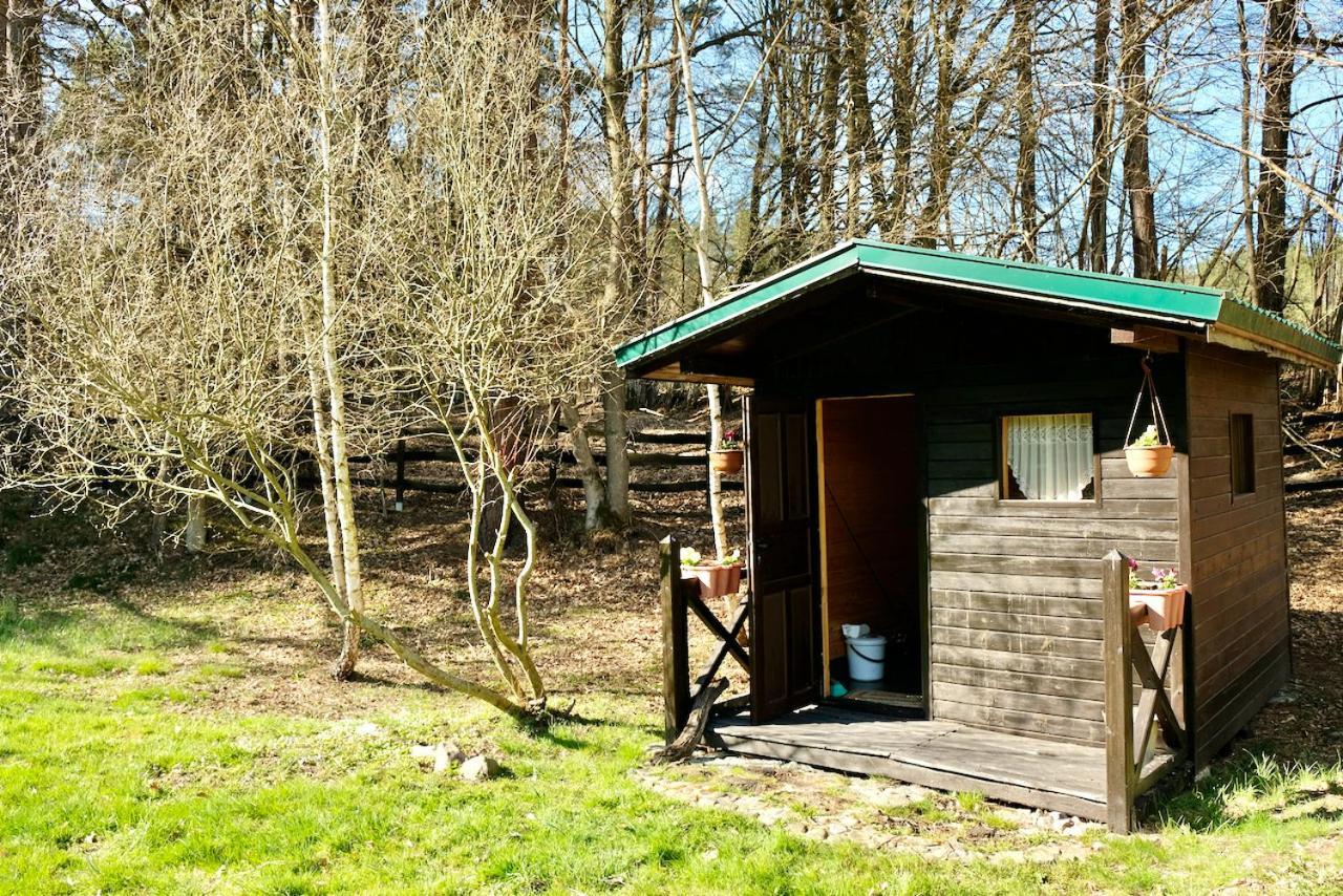 Agroturystyka Strzebielino Exterior foto