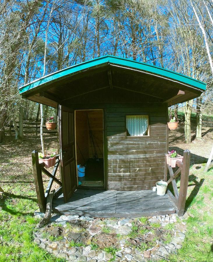 Agroturystyka Strzebielino Exterior foto